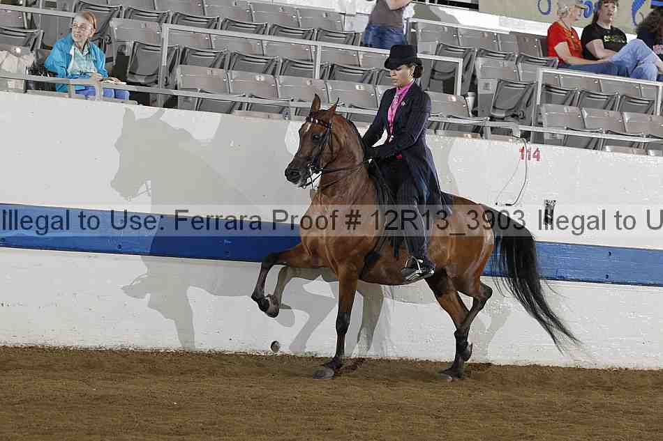 Proof Number 12r13_3903