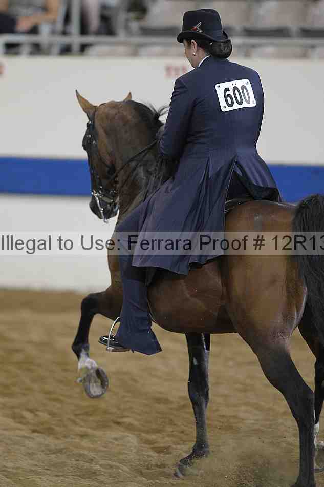 Proof Number 12r13_3905