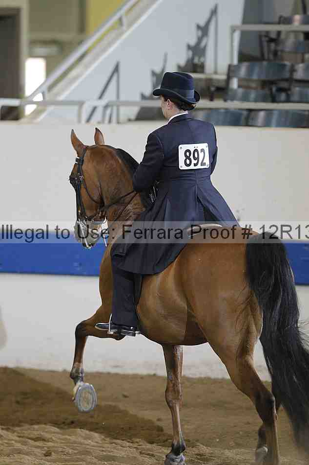 Proof Number 12r13_3906