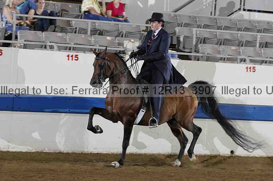 Proof Number 12r13_3907
