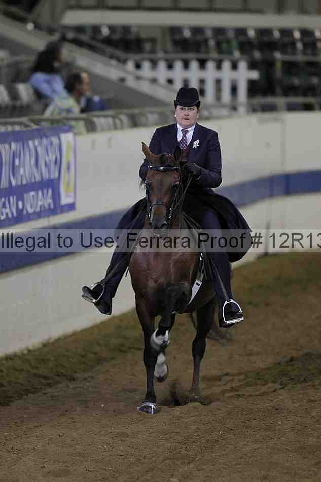 Proof Number 12r13_3911