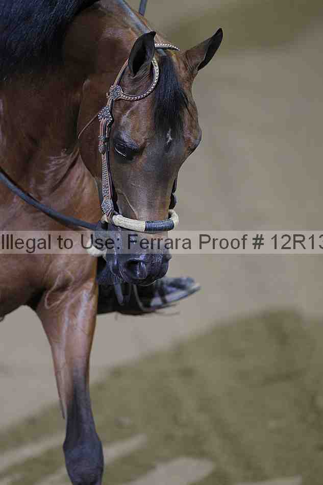 Proof Number 12r13_3957