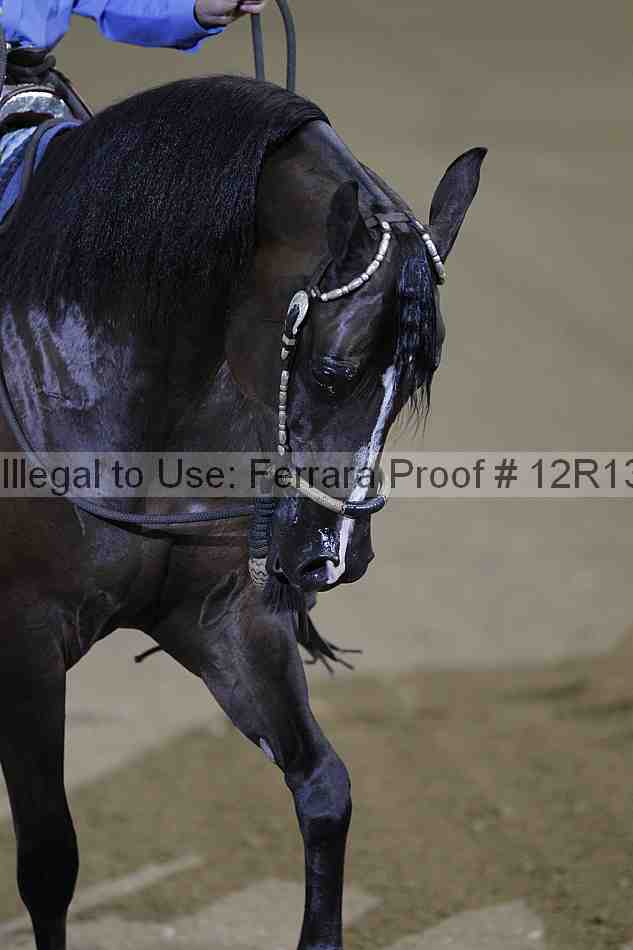 Proof Number 12r13_3961