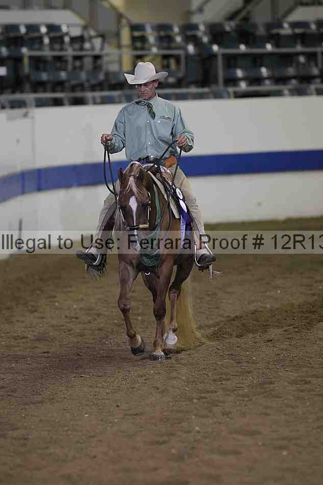 Proof Number 12r13_3972
