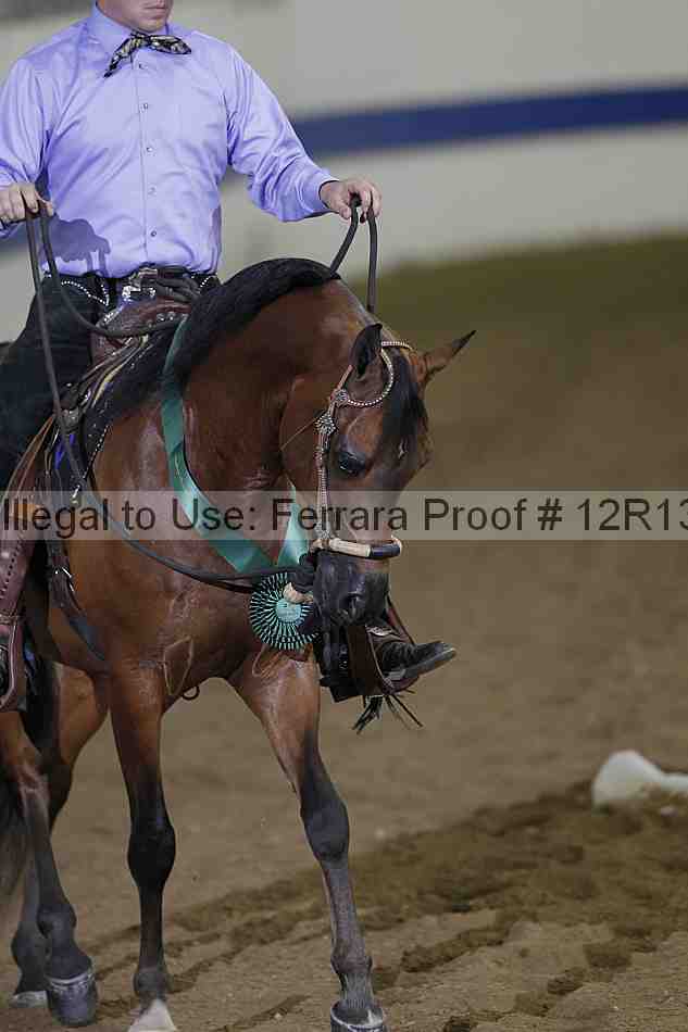 Proof Number 12r13_3977
