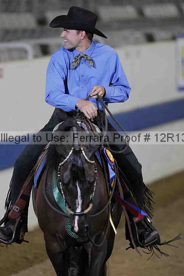 Proof Number 12r13_3993