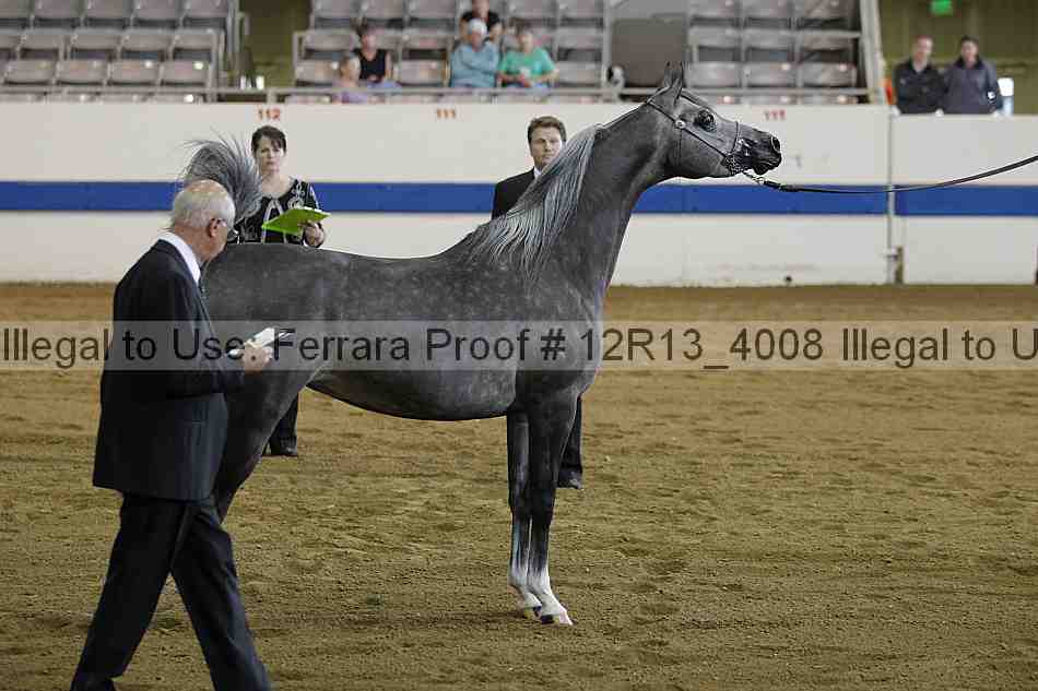 Proof Number 12r13_4008