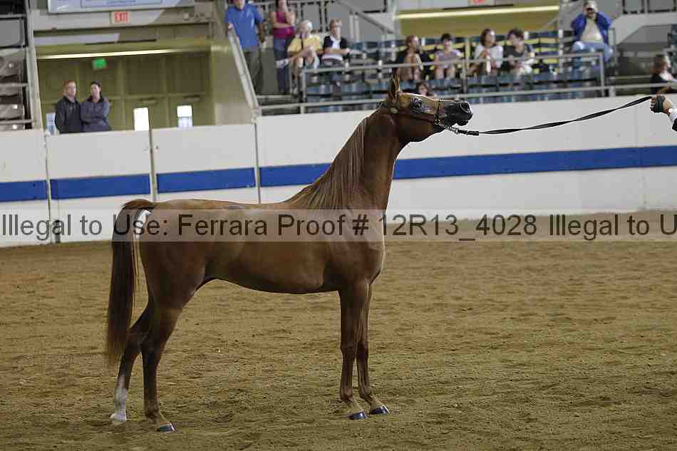 Proof Number 12r13_4028
