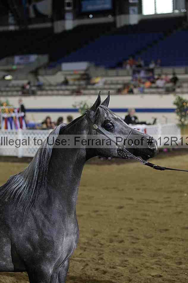 Proof Number 12r13_4032