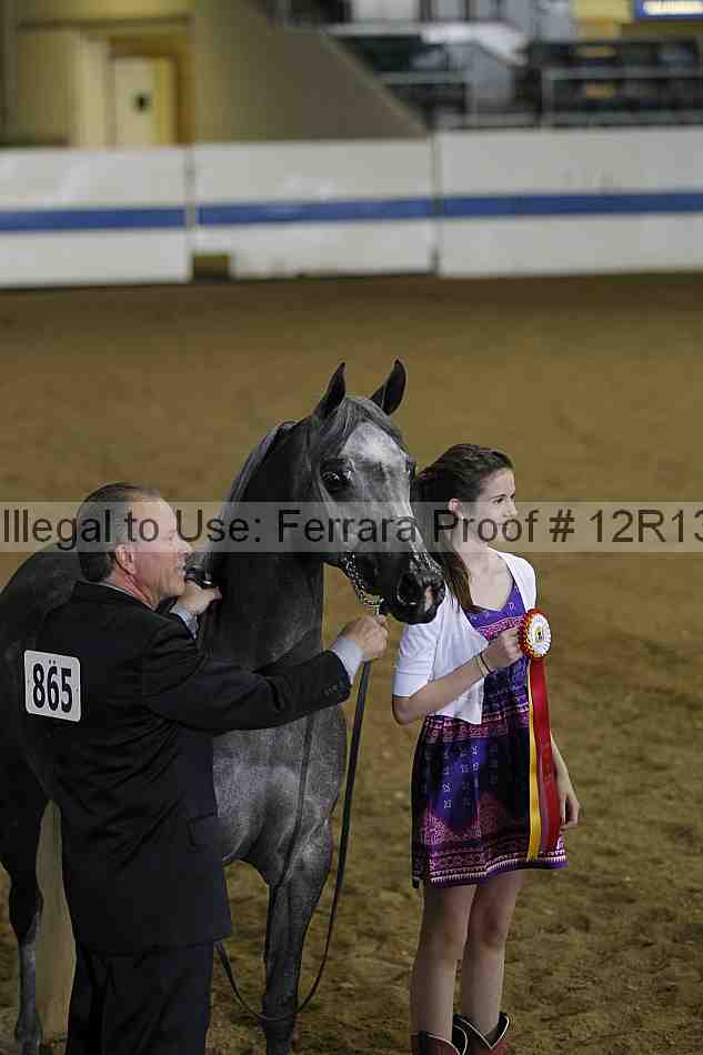 Proof Number 12r13_4042