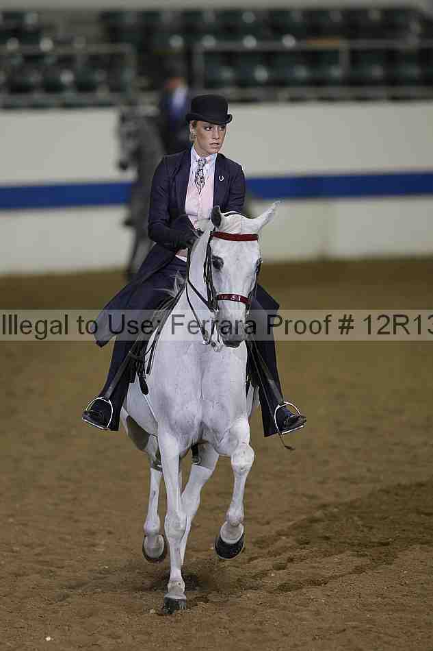 Proof Number 12r13_4073