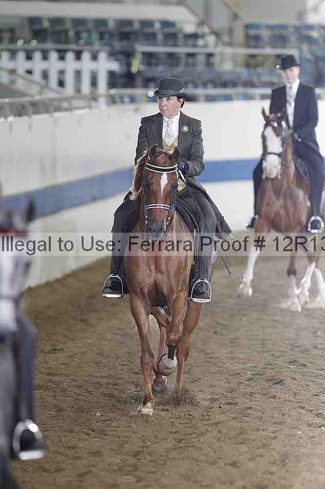 Proof Number 12r13_4078