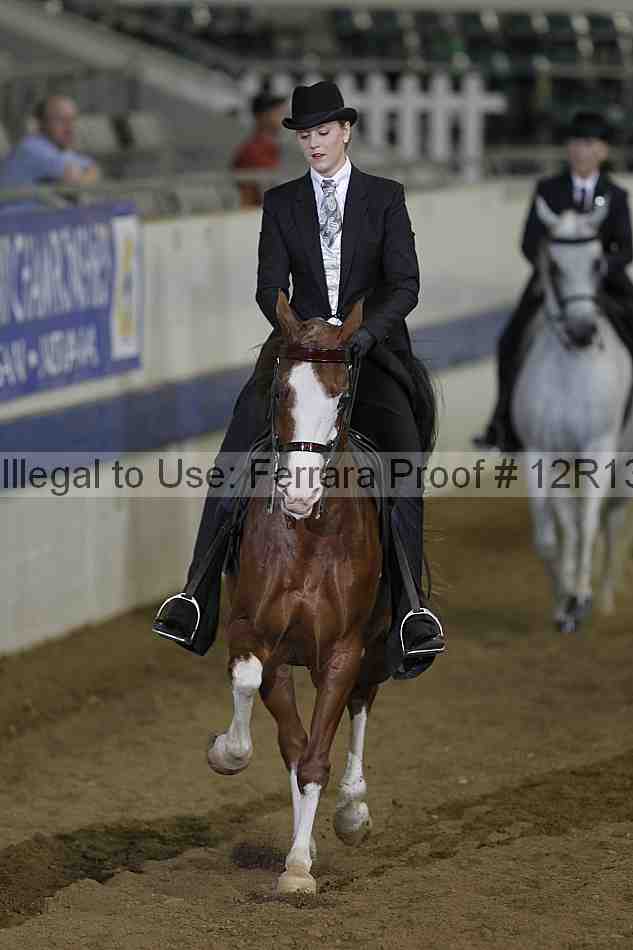 Proof Number 12r13_4090