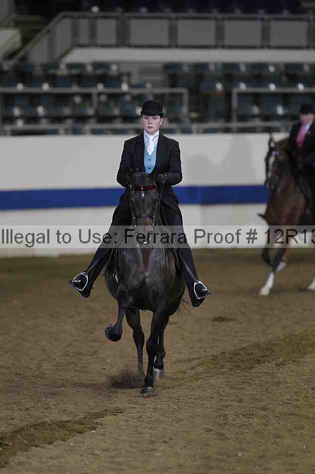 Proof Number 12r13_4092