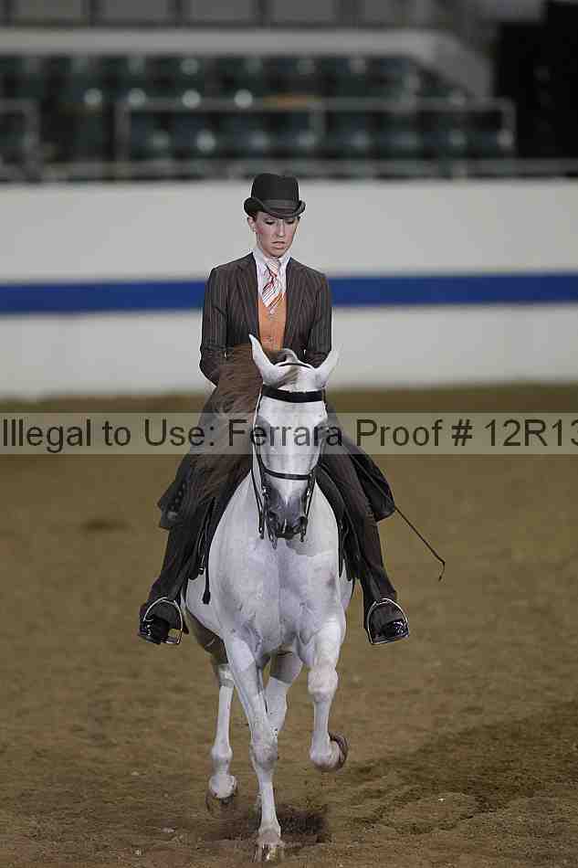 Proof Number 12r13_4096