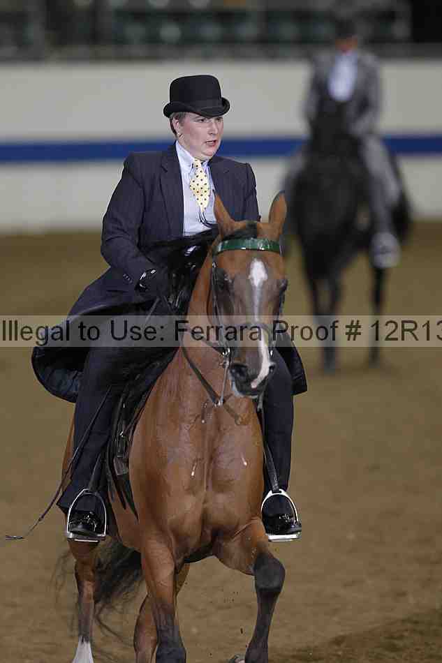 Proof Number 12r13_4098