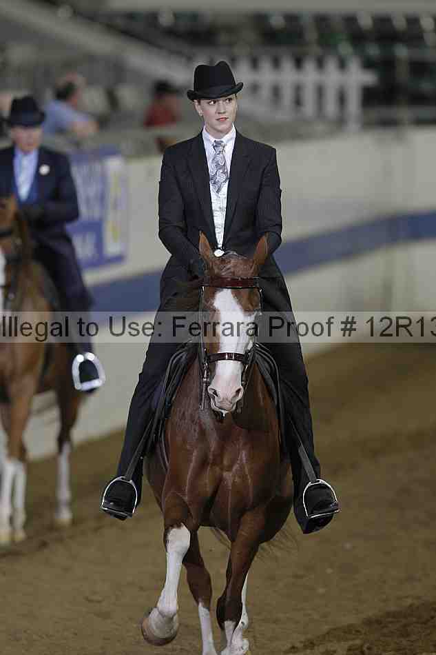 Proof Number 12r13_4100