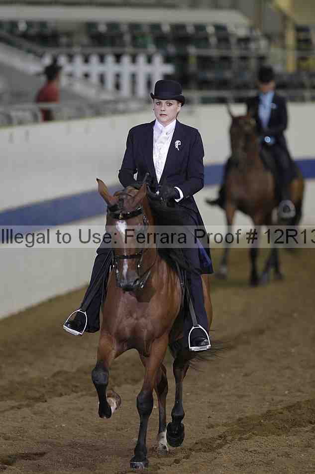 Proof Number 12r13_4102
