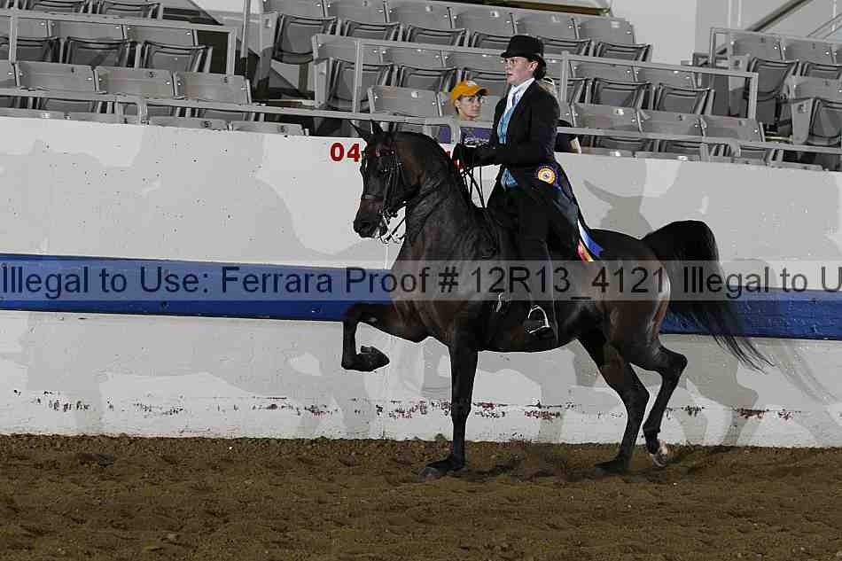 Proof Number 12r13_4121
