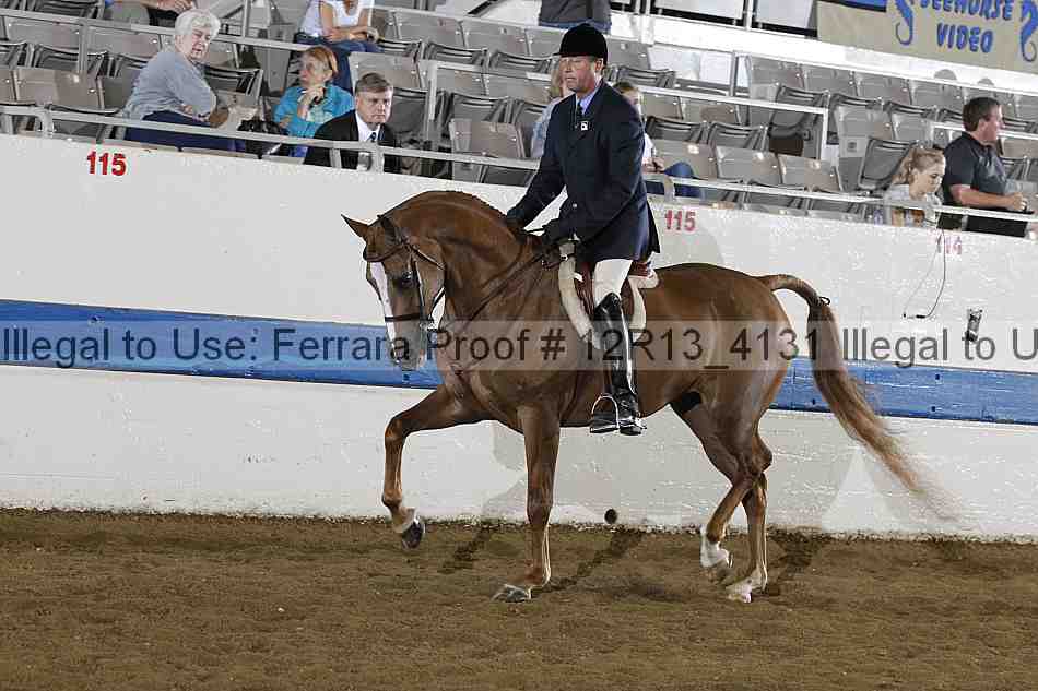 Proof Number 12r13_4131