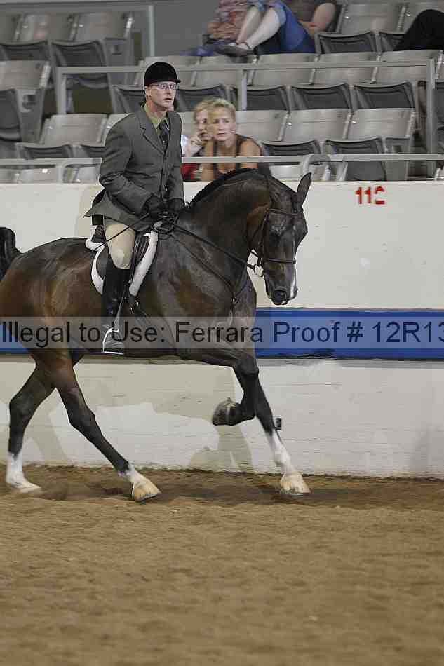 Proof Number 12r13_4177