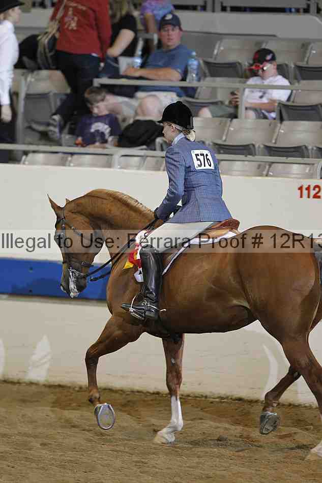 Proof Number 12r13_4183