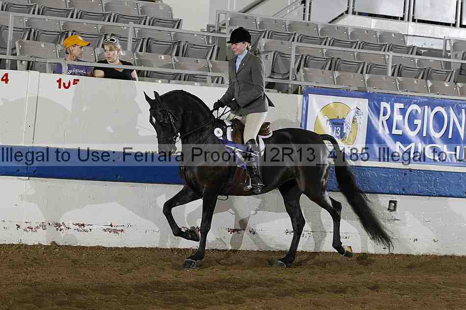 Proof Number 12r13_4185