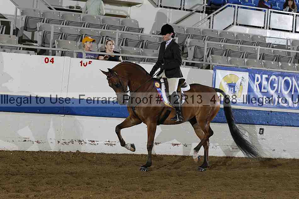 Proof Number 12r13_4188