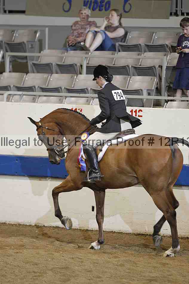 Proof Number 12r13_4200