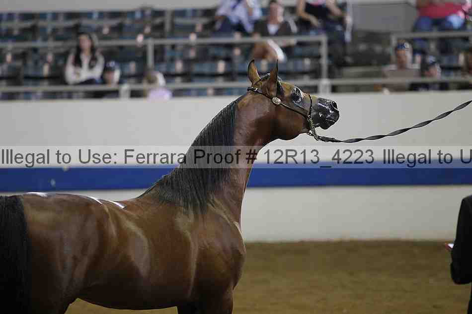 Proof Number 12r13_4223