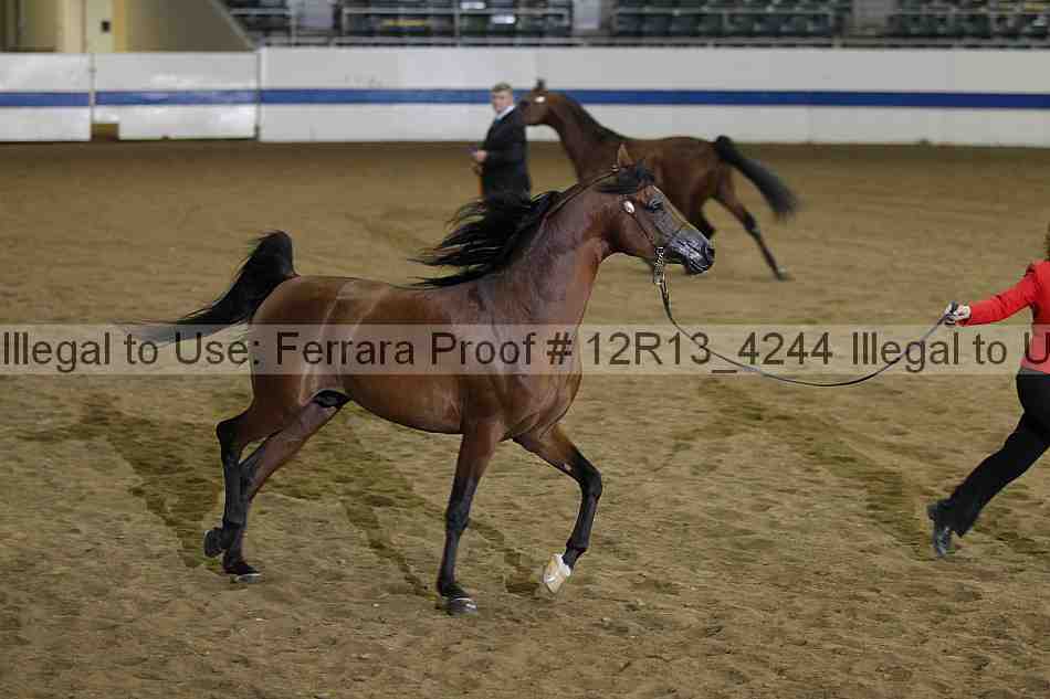 Proof Number 12r13_4244
