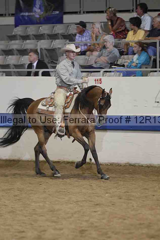 Proof Number 12r13_4331