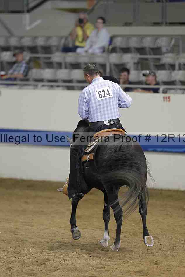 Proof Number 12r13_4352