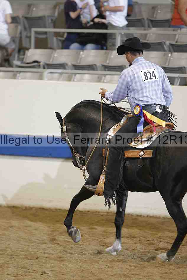 Proof Number 12r13_4388