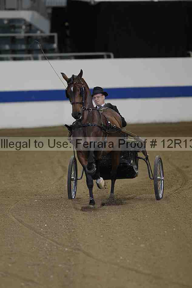 Proof Number 12r13_4397