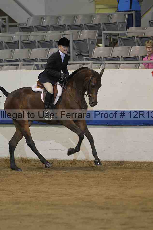 Proof Number 12r13_4446