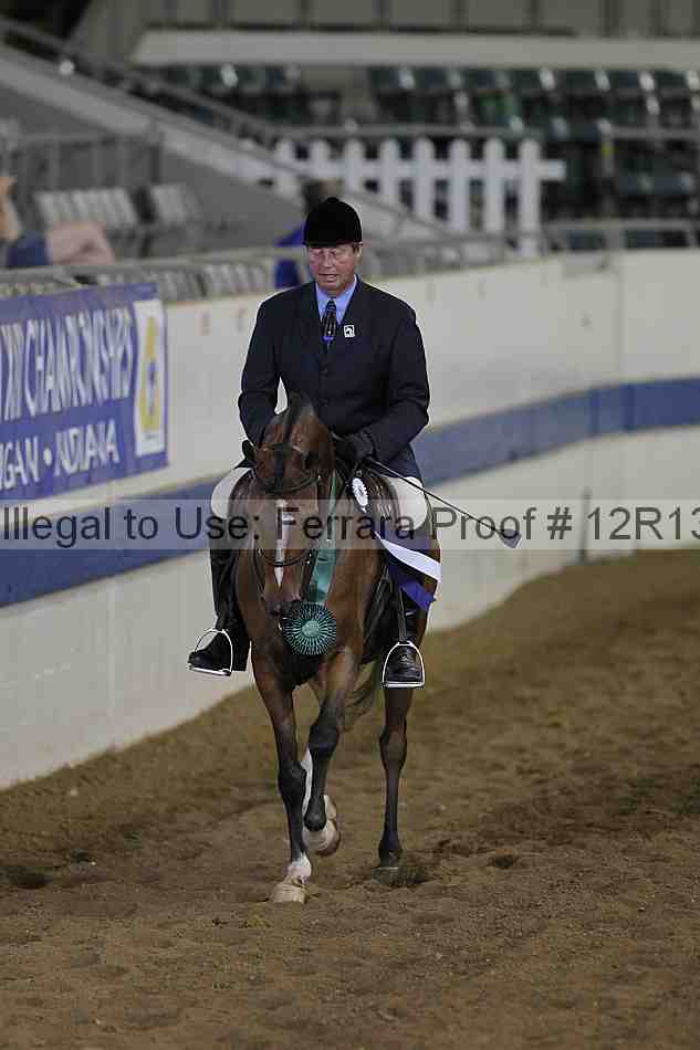 Proof Number 12r13_4463