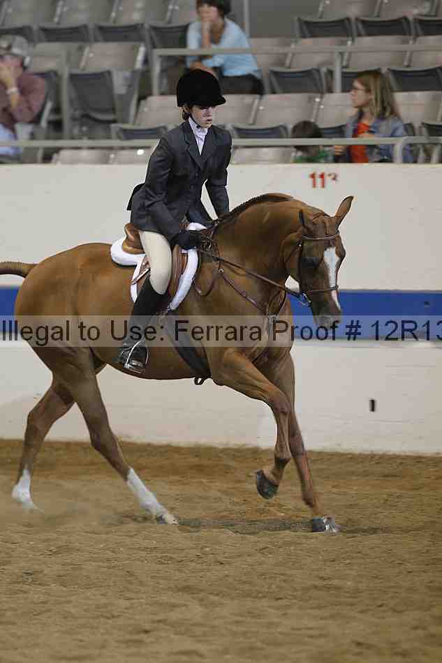 Proof Number 12r13_4521