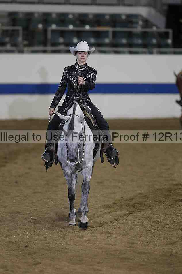 Proof Number 12r13_4667