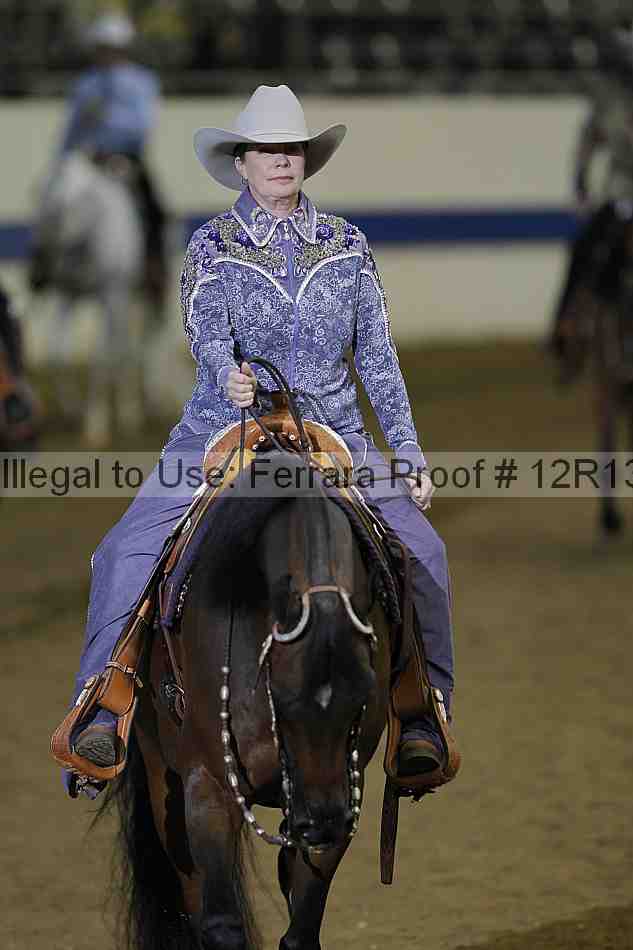 Proof Number 12r13_4683