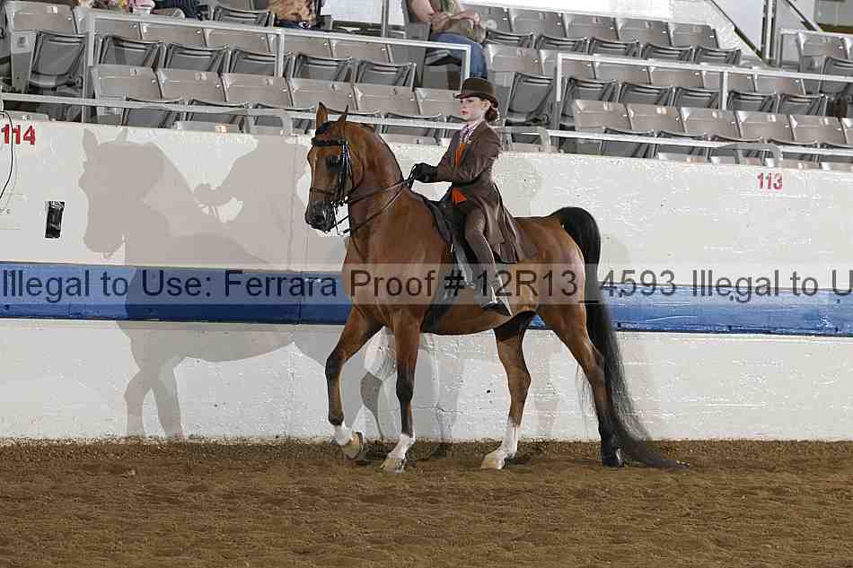 Proof Number 12r13_4593