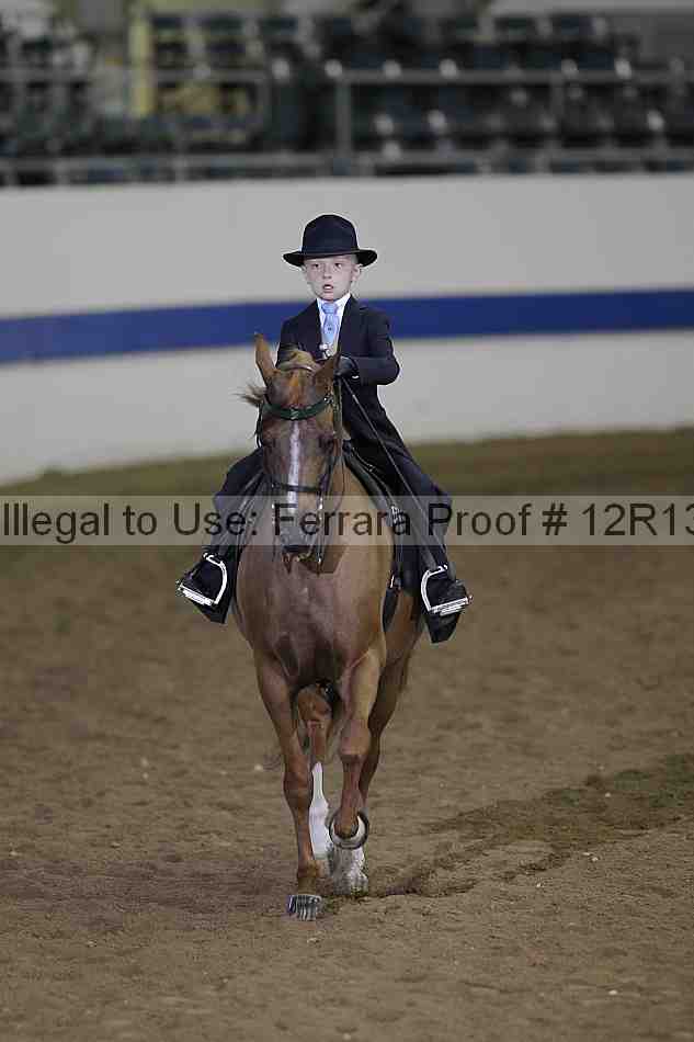 Proof Number 12r13_4602