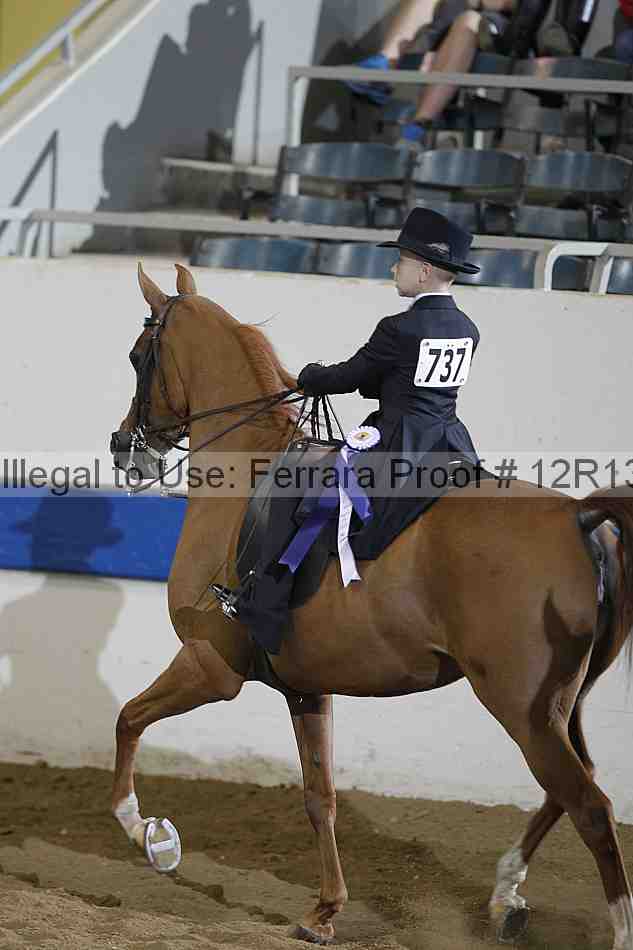 Proof Number 12r13_4630