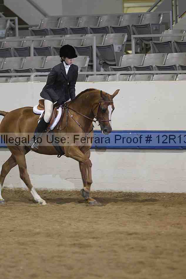 Proof Number 12r13_4700