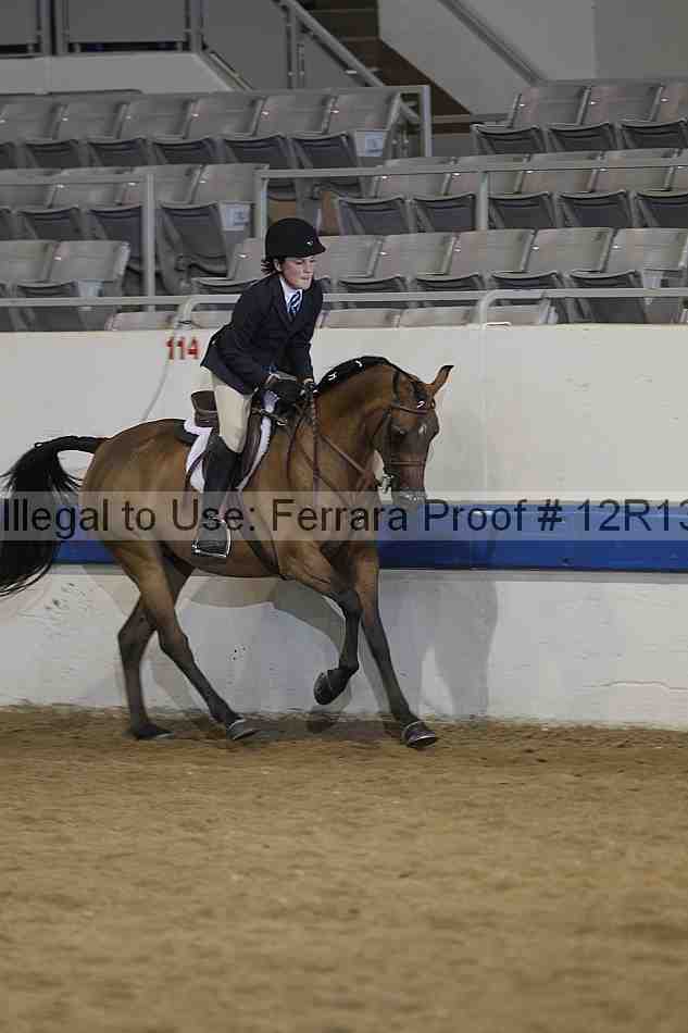 Proof Number 12r13_4701