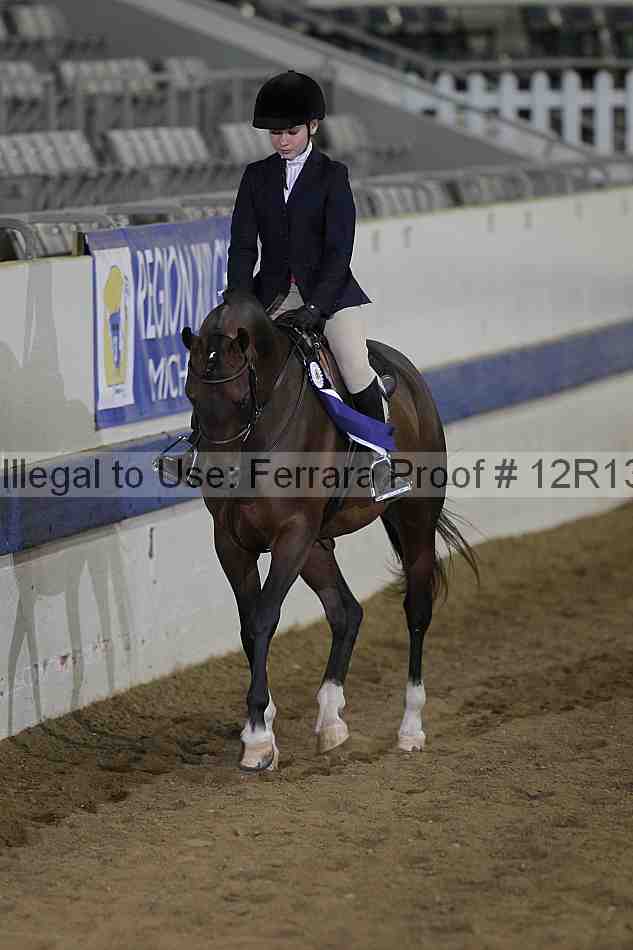 Proof Number 12r13_4718