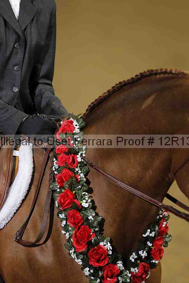 Proof Number 12r13_4734