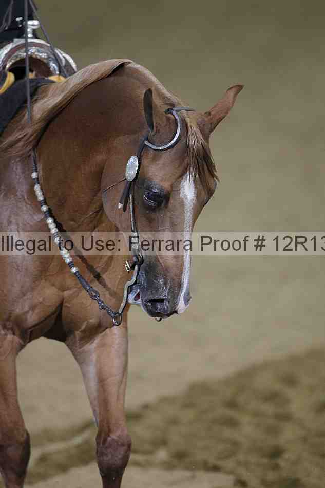 Proof Number 12r13_4782