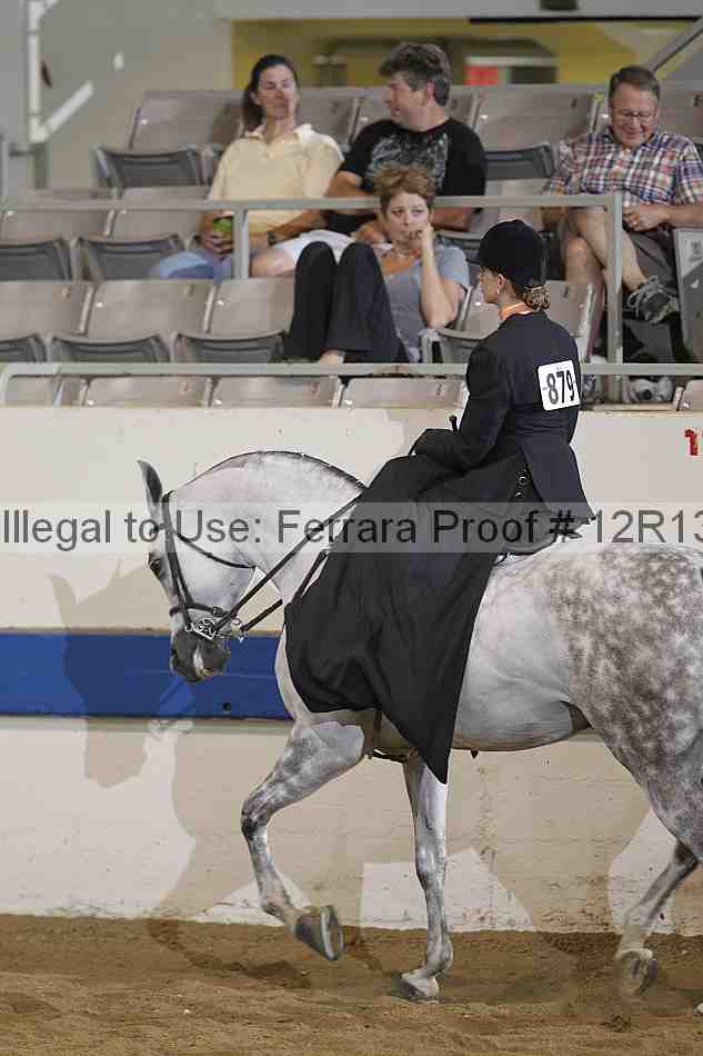 Proof Number 12r13_4825