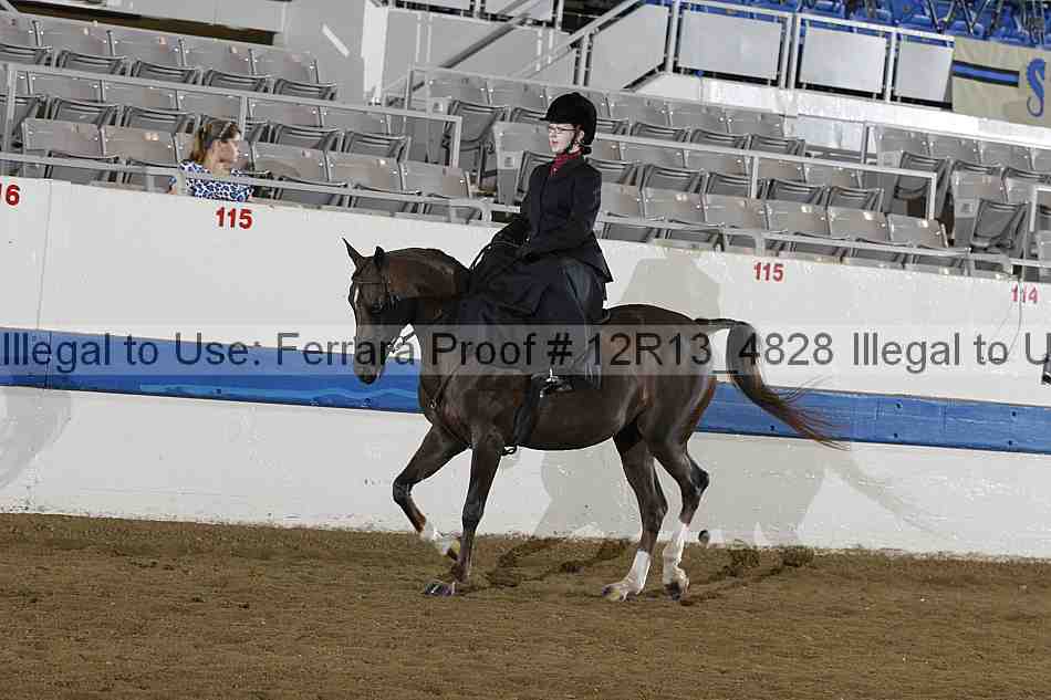 Proof Number 12r13_4828